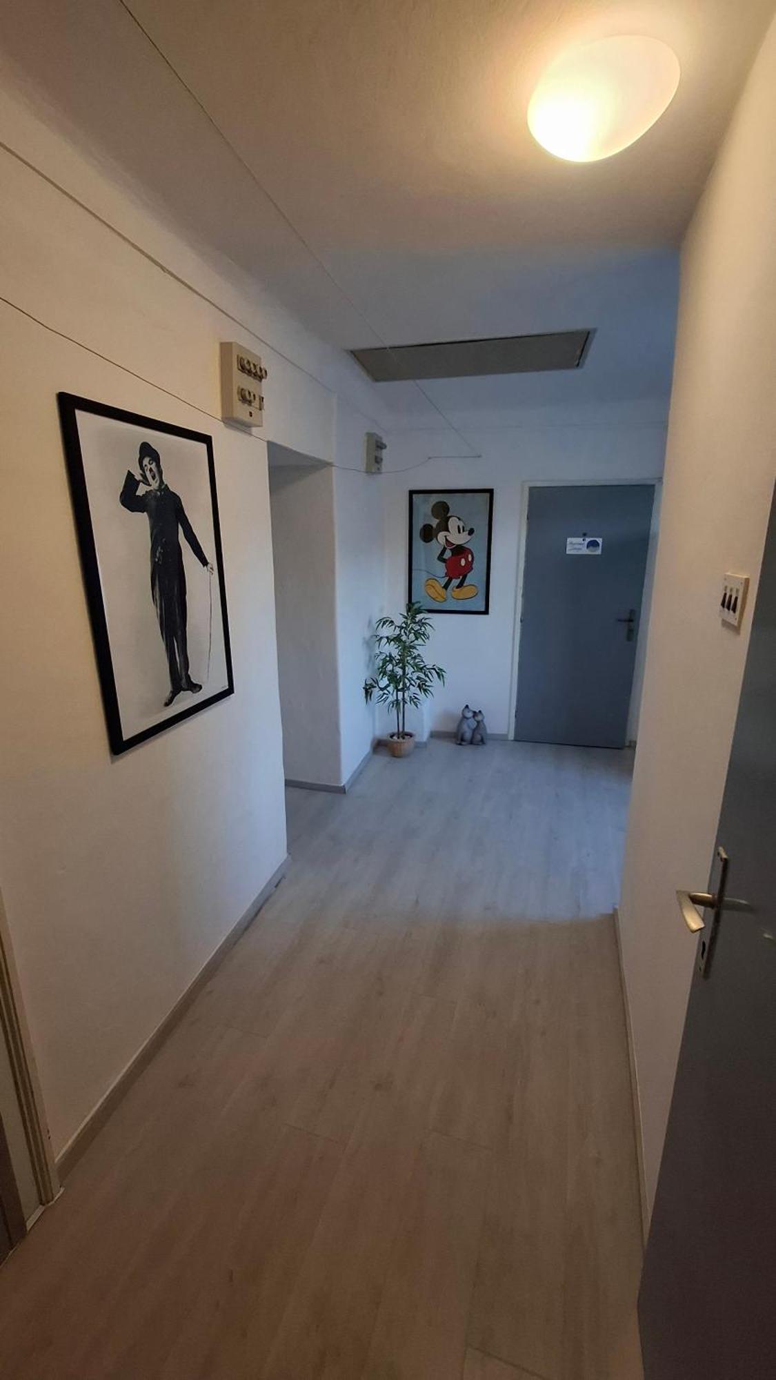 Apartman Darija Pazin Exterior photo